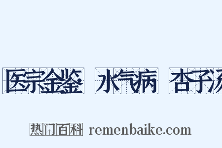 医宗金鉴·水气病·杏子汤是什么意思的图片